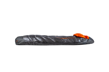 NEMO DISCO MENS 30 REGULAR ENDLESS PROMISE (4C°)