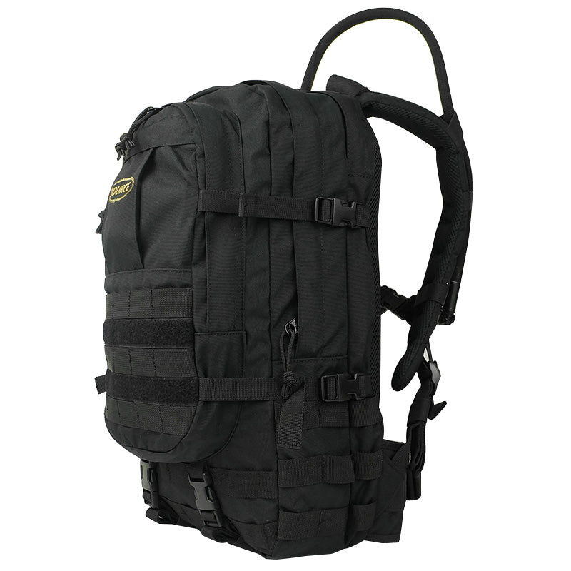 SOURCE ASSAULT 20L