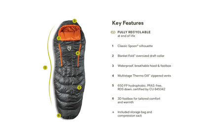 NEMO DISCO MENS 30 REGULAR ENDLESS PROMISE (4C°)